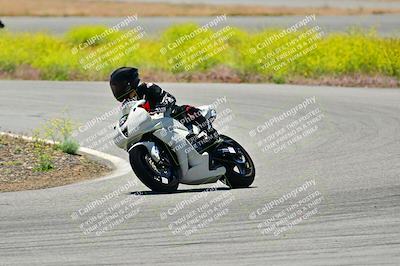 media/May-10-2024-2WTD (Fri) [[c88d7990af]]/Group C/Session 3-Turn 4 and 6/